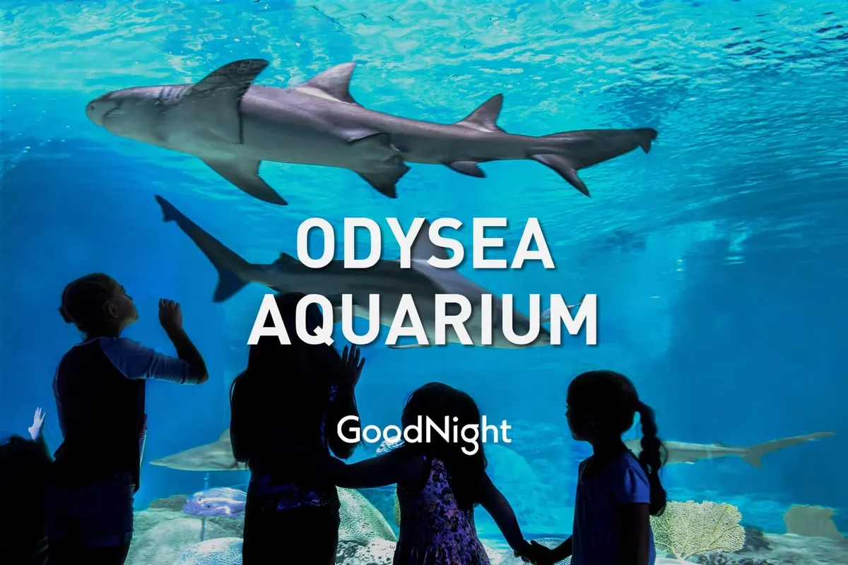 The interior of a lively aquarium, with children reaching up in awe as sharks swim overhead behind a glass wall. The mood is one of wonder and shared discovery, highlighting the immersive experience of visiting a major aquatic attraction as a family.
